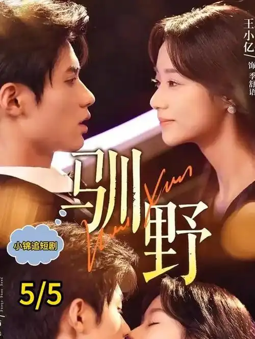 长夜列车封面